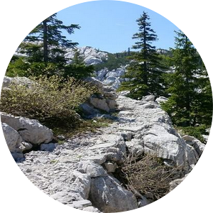 Velebit - Premuziceva