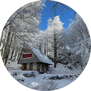 Bijele sijene - zimi