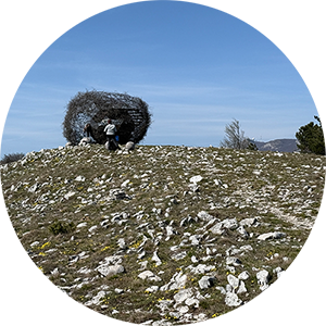 Istra - Kremenjak